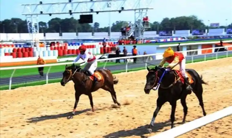 Đua Ngựa Nova88: Làm Chủ Cuộc Chơi Với Những Mẹo Đỉnh Cao 2 Đua Ngựa Nova88